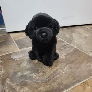 Ganz Webkinz Signature Black Lab No Code